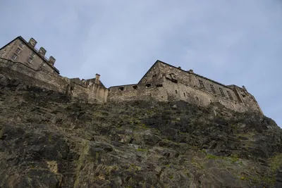 DSC_7370 (Large).JPG